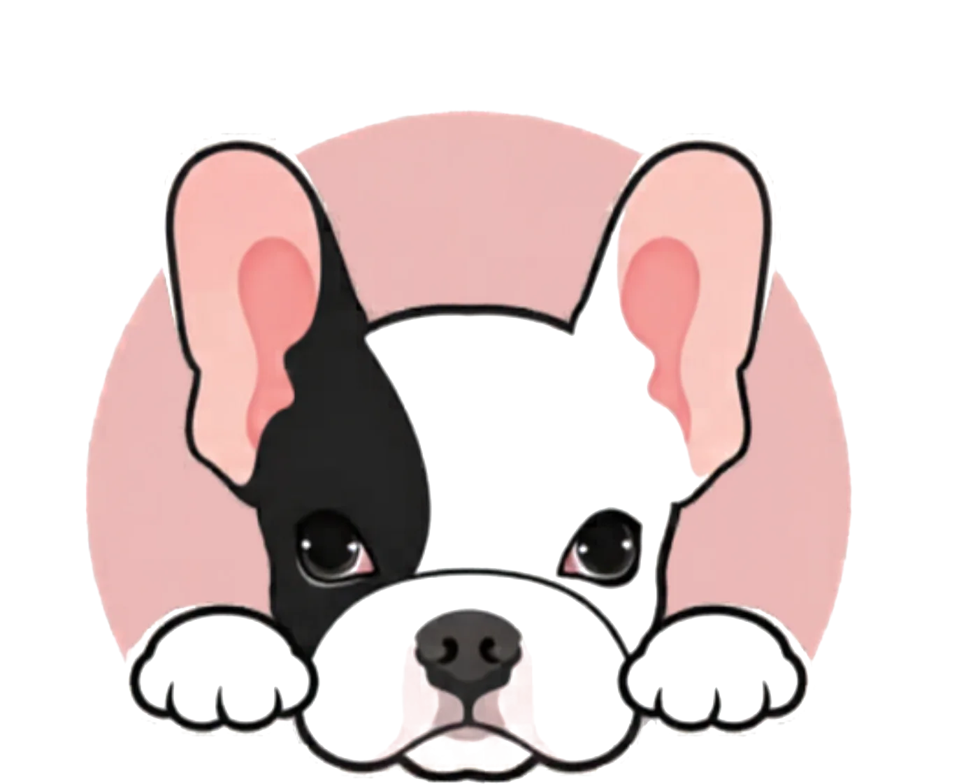 Perrito Amaranto